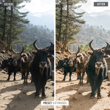 Load image into Gallery viewer, Ultimate TD Collection (COMBO PACK)