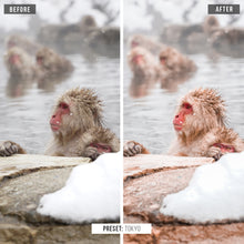 Load image into Gallery viewer, Ultimate TD Collection (Desktop)